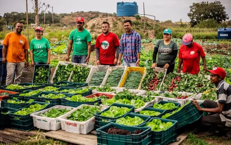 A agricultura familiar é marcada pela diversidade produtiva, geração de empregos e movimentação da economia. Foto: reprodução/MST