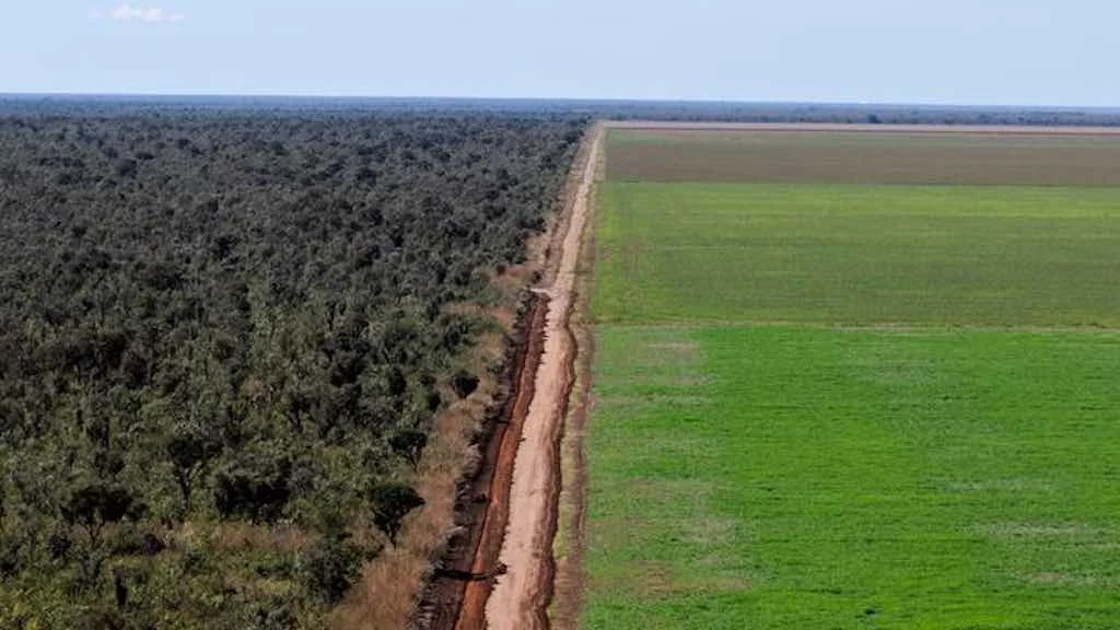 A expansão da fronteira agrícola tem motivado conflitos pela terra, principalmente na região norte e nordeste do país. Foto: Agência Brasil